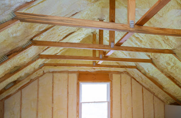 Best Eco-Friendly Insulation in Lla Lla, WA